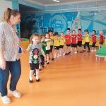 В стране дорожных знаков