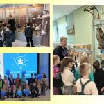 День в музее